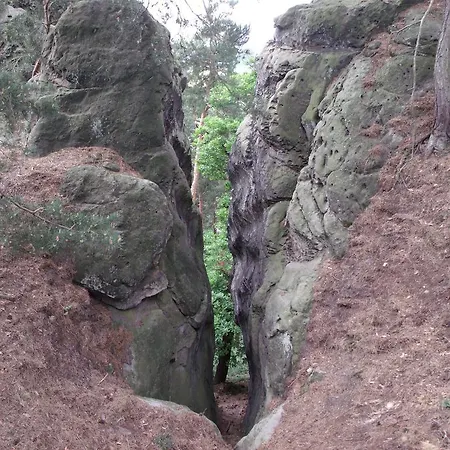 Brockenherz * Blankenburg (Harz)